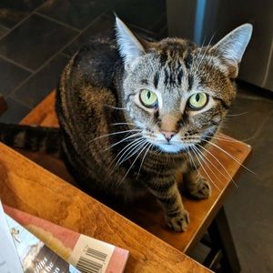 Meet your Posher, Leila